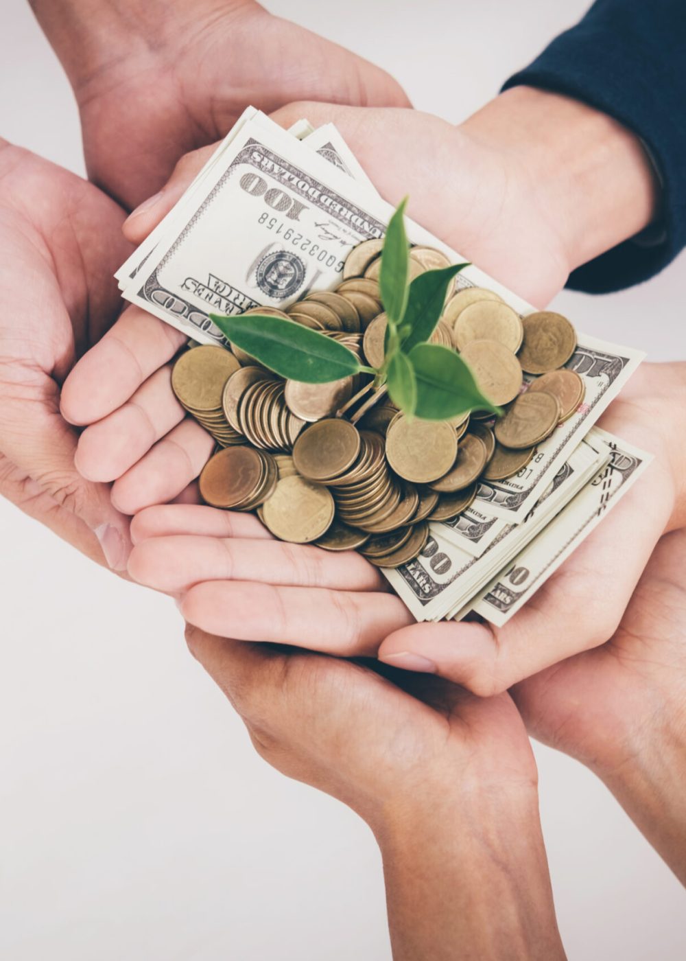 hands-of-business-team-holding-plant-sprouting-gro-2026-01-11-08-42-35-utc